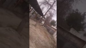 Не заводится Рено лагуна 1 нет искры
