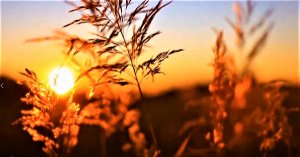 Денис Майданов - Оранжевое солнце.mpg