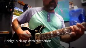 Ibanez Artist Series AR220