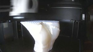 Вещь из Wednesday 3D печать Bambu Lab P1S Combo (timelapse)