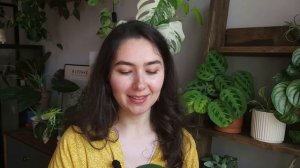 ВСЕ-ВСЕ-ВСЕ мои КАШПО и ГОРШКИ для растений / ОБЗОР керамики для комнатных РАСТЕНИЙ