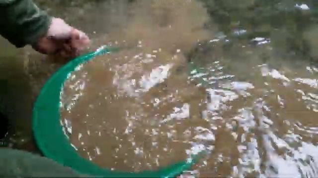Finding Gold With Big Oxidized River Gravels! смотреть онлайн