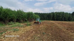 Очистка заросших полей мульчером TMC Cancela TFK-200