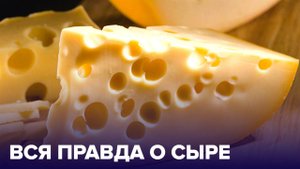 Еда по правилам и без: вся ПРАВДА О СЫРЕ