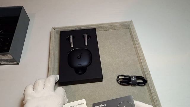 Anker：A3951N11 「Anker Soundcore Liberty Air 2 Pro【完全ワイヤレスイヤホン / IPX4防水規格/PSE技術基準適合】ブラック」#KSA4378 смотреть онлайн