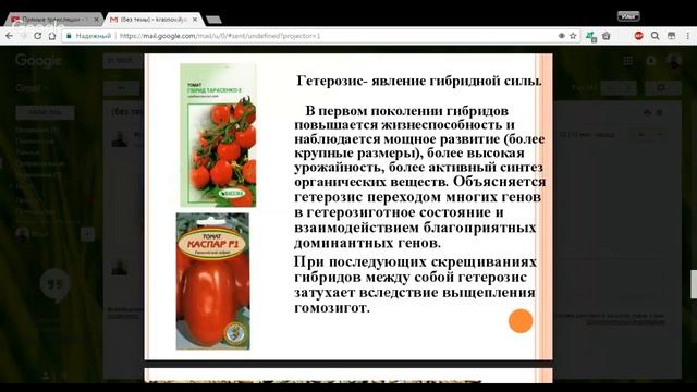 Биология 10 класс 38-39 неделя Методы селекции