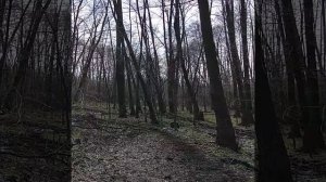 чепурнековская балка. Волгоградская область.