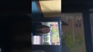 Suck Dick or let your mom die challenge