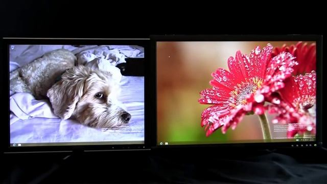 Windows 8 multiple monitor support смотреть онлайн