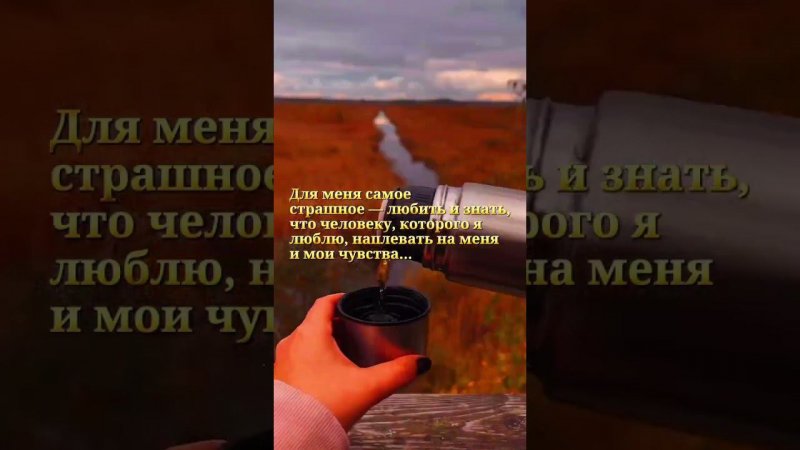 15 ноября 2023 г.