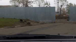 Отрадное - Лефортово - Текстильщики 17/10/2012 (timelapse 4x-16x)