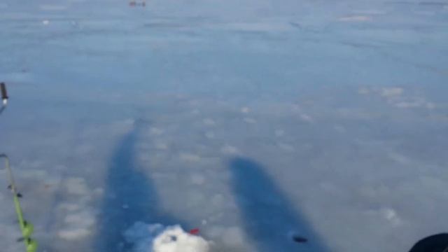 Перезалив. Зимняя рыбалка. Иваньковское водохранилище. Дубна. 9.03.2015 г. смотреть онлайн