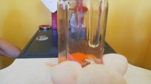 Готовим вместе с мышкой. 25 серия