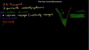 167 Факторы почвообразования