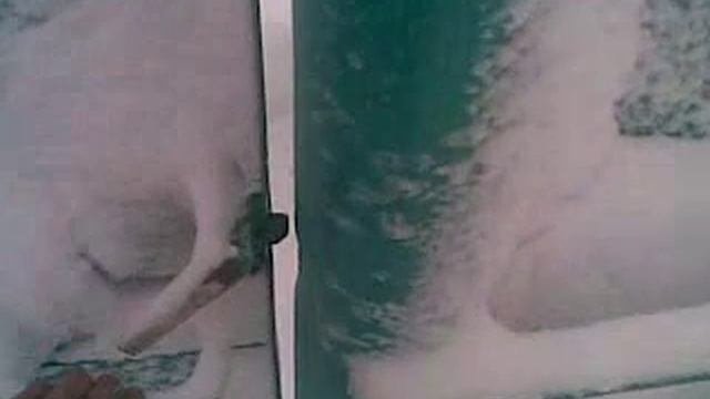 Коченёво(Новосибирская область) 18.03.2010