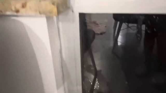 269❤️ПОТОП КАК СПАСАТЬСЯ СИЛЬНЕЙШИЙ УРАГАН В МЕРСИНЕ #турция #катаклизмы #türkiye смотреть онлайн