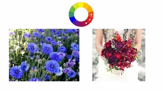 Часть 1. Как пользоваться цветовым кругом. Цветоведение и колористика при составлении букета. смотреть онлайн