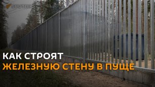 Не забор, а железная стена: что строят поляки в Беловежской пуще