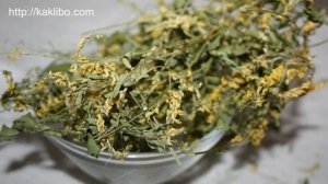 Донник лекарственный