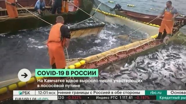 Где и сколько больных коронавирусом в России на сегодня 8 июня 2020 года