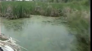 Аэросани — болото