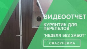 Смотрите тестирование нашего нового курятника «Неделя без забот» от CrazyFerma! 7 дней автономии!