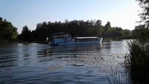 г.Белая Церковь Киевской обл. Август 2018г.