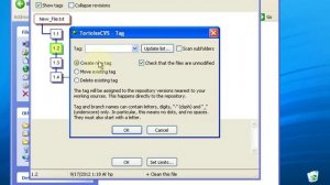CVS Tutorial 6 Tag