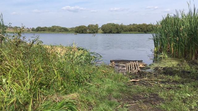 Снова работают пеньки смотреть онлайн