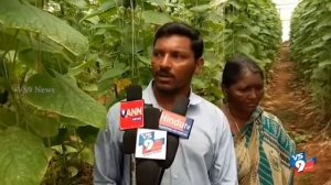 Suryapet Young Farmer Success Story in Modern Agriculture ||VS9 NEWS