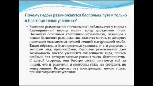 Организменный уровень.  Урок биологии