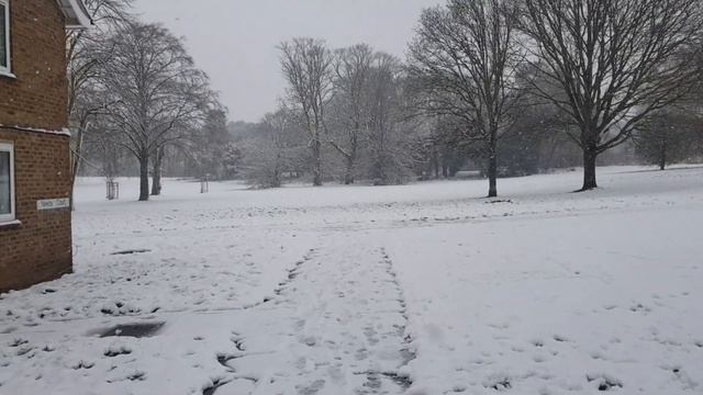 Снег в Англии. 9 марта утро в Великобритании. Snowing in UK. смотреть онлайн