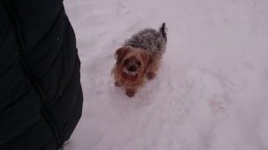 Мужик обоссался