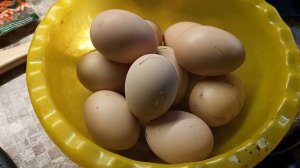 Проблема с котлом😎 Осушитель для курятника🐔 Курицы радуют 🥚🥚🥚 Живем в станице на кубани♥