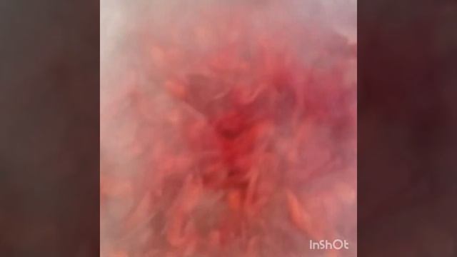 Қызылшадан пайдалы салат жабу | Для борща. Очень вкусный, быстрый салат на зиму. смотреть онлайн