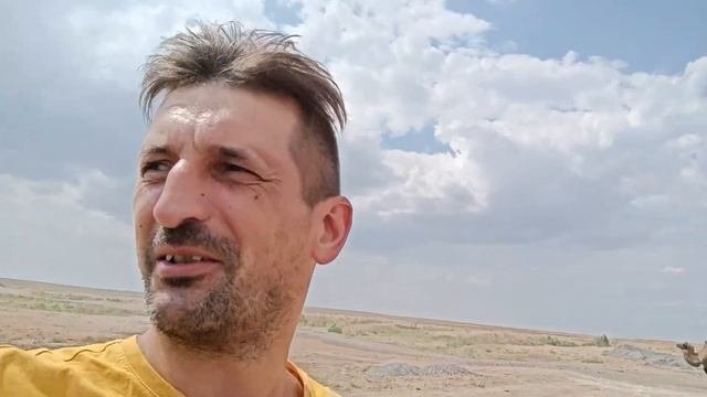Снова пустыня. Верблюды