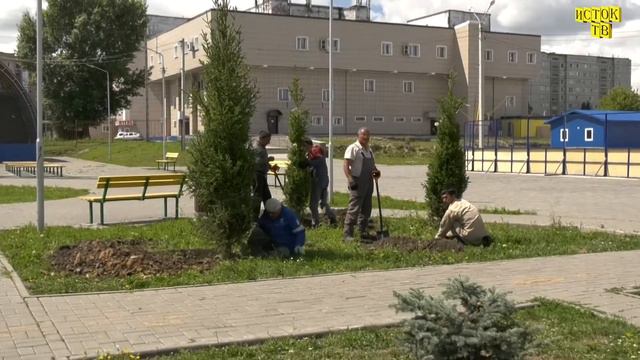 Посадка елей смотреть онлайн