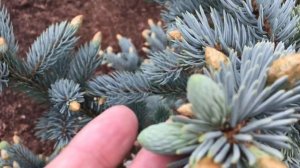 Приглашаю на прогулку в сад Надежды