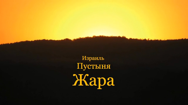 Пустыня.Израиль.Жара