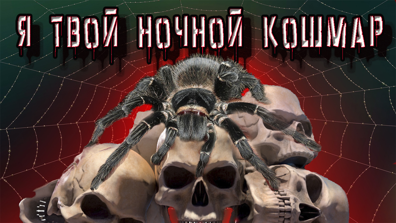 Lasiodora parahybana паук для новичка??? кормление ,пересадка. смотреть онлайн