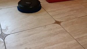 ZH 607 Робот полотер самый дешёвый!