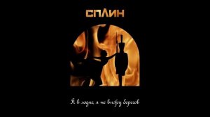 Сплин "Я был влюблён в Вас"
