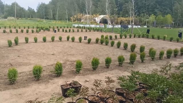 2023 год вместе с Репейником. Отчетный ролик.