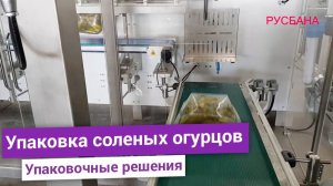 Соленые огурцы с рассолом в готовый пакет дой пак