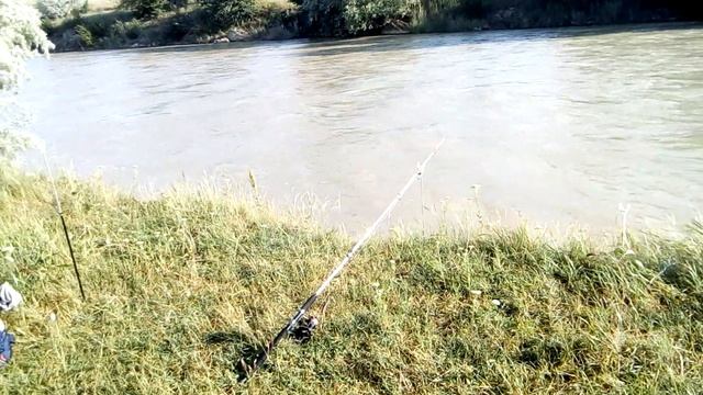 Барсучки, дюкер. июнь 2019г смотреть онлайн