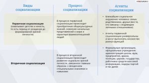 17  Социализация личности