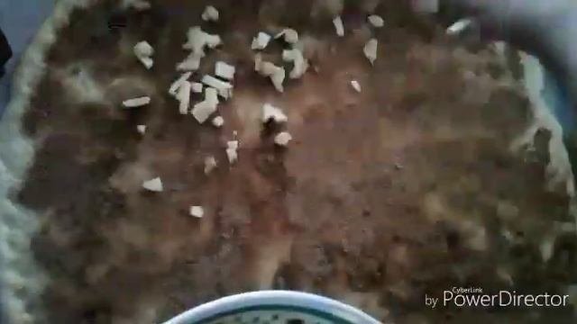 Яблочный пирог (олмалик пирог) очень вкусно и быстро готовиться