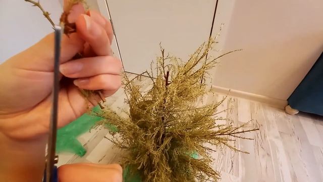 Реанимирую можжевельник
