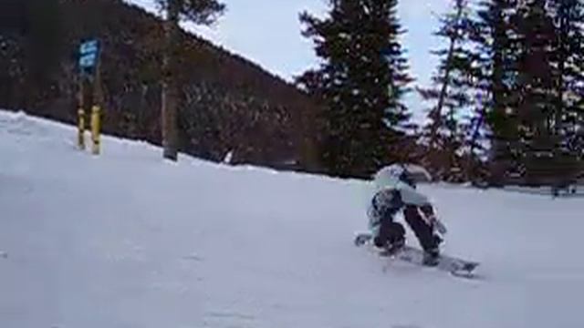 boxgrind with mardi gras mask смотреть онлайн