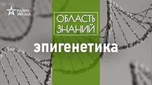 Что влияет на продолжительность жизни человека? Лекция биолога Сергея Киселёва